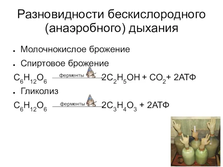 Разновидности бескислородного (анаэробного) дыхания Молочнокислое брожение Спиртовое брожение С6Н12O6 2C2H5OН + СО2+