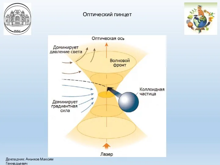 Оптический пинцет Докладчик: Аньчков Максим Геннадьевич