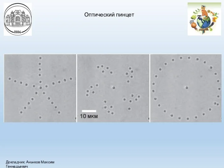 Оптический пинцет Докладчик: Аньчков Максим Геннадьевич