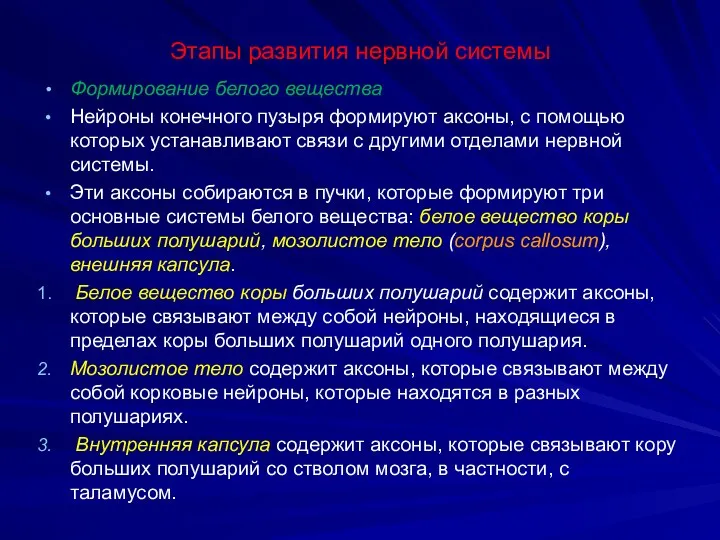 Этапы развития нервной системы Формирование белого вещества Нейроны конечного пузыря формируют аксоны,