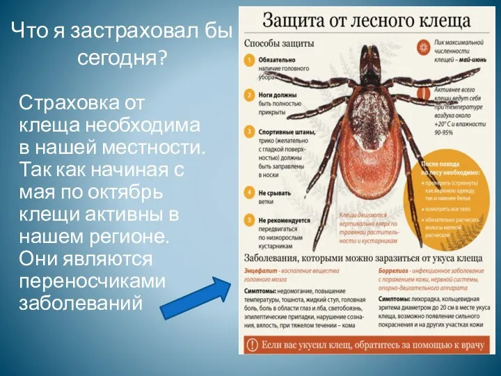 Страховка от клеща необходима в нашей местности. Так как начиная с мая