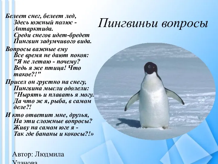 Белеет снег, белеет лед, Здесь южный полюс - Антарктида. Среди снегов идет-бредет