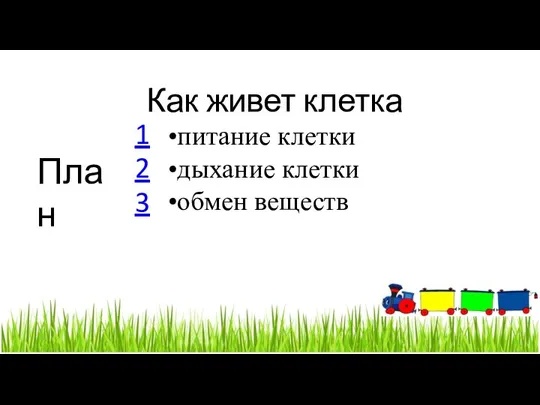 Как живет клетка План питание клетки дыхание клетки обмен веществ 1 2 3