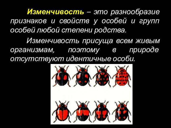 Изменчивость – это разнообразие признаков и свойств у особей и групп особей