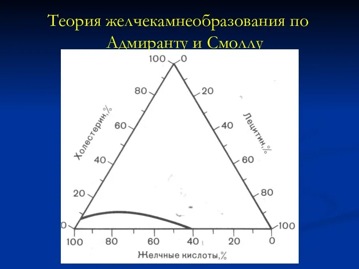 Теория желчекамнеобразования по Адмиранту и Смоллу