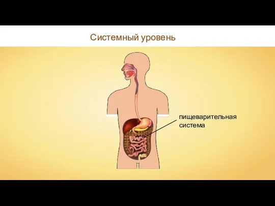 Системный уровень