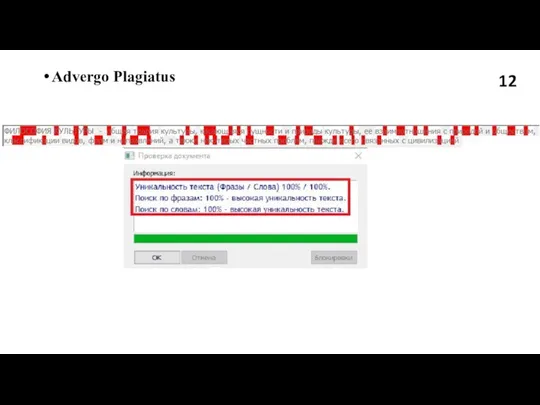 Advergo Plagiatus 12