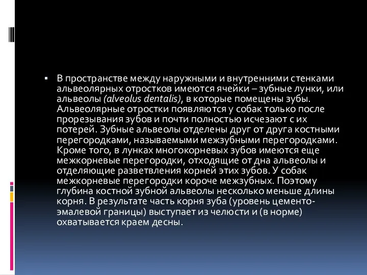 В пространстве между наружными и внутренними стенками альвеолярных отростков имеются ячейки –