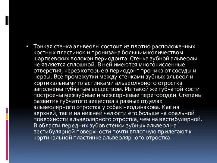 Тонкая стенка альвеолы состоит из плотно расположенных костных пластинок и пронизана большим