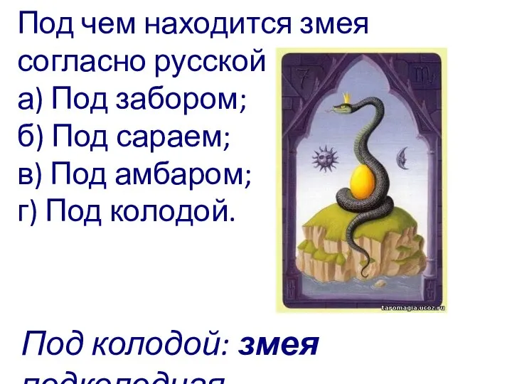 Под чем находится змея согласно русской идиоме? а) Под забором; б) Под