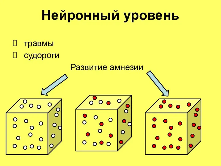 Нейронный уровень травмы судороги Развитие амнезии