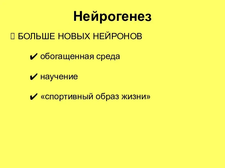 Нейрогенез БОЛЬШЕ НОВЫХ НЕЙРОНОВ обогащенная среда научение «спортивный образ жизни»