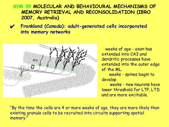 SYM 39 MOLECULAR AND BEHAVIOURAL MECHANISMS OF MEMORY RETRIEVAL AND RECONSOLIDATION (IBRO