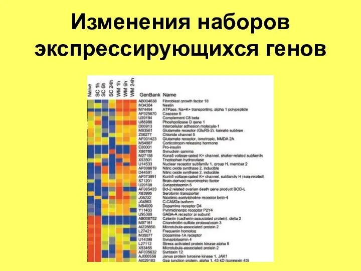 Изменения наборов экспрессирующихся генов