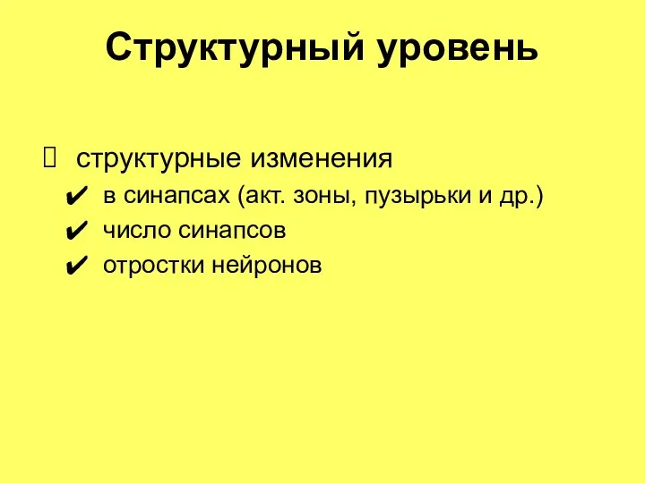 Структурный уровень структурные изменения в синапсах (акт. зоны, пузырьки и др.) число синапсов отростки нейронов