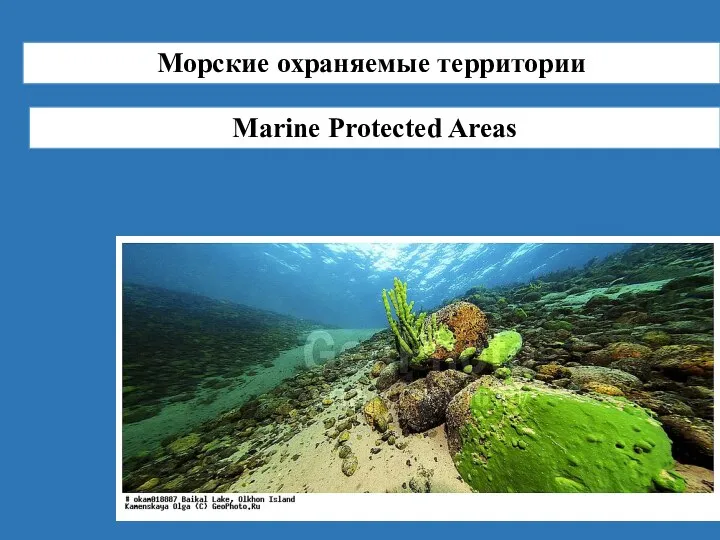 Морские охраняемые территории Marine Protected Areas