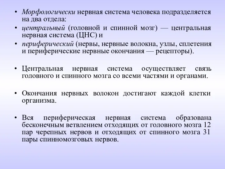 Морфологически нервная система человека подразделяется на два отдела: центральный (головной и спинной