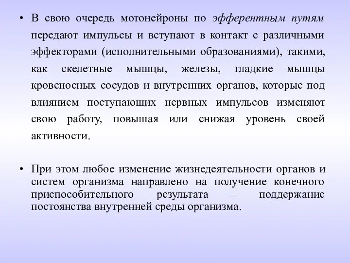 В свою очередь мотонейроны по эфферентным путям передают импульсы и вступают в