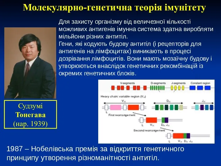 Молекулярно-генетична теорія імунітету Судзумі Тонегава (нар. 1939) 1987 – Нобелівська премія за