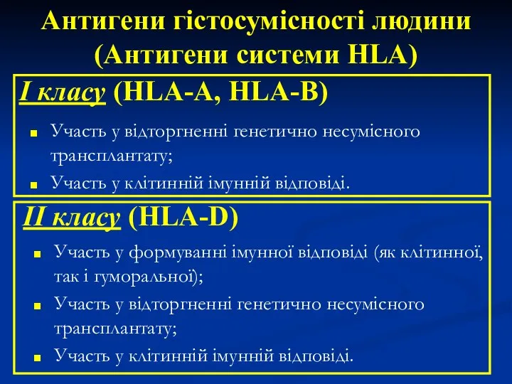 Участь у відторгненні генетично несумісного трансплантату; Участь у клітинній імунній відповіді. Антигени