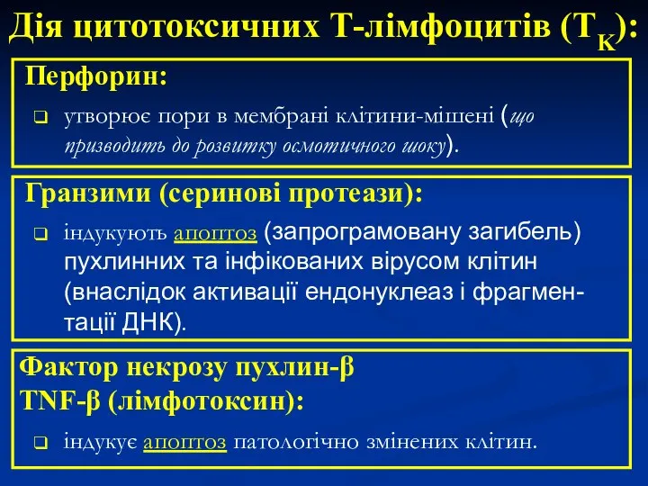 утворює пори в мембрані клітини-мішені (що призводить до розвитку осмотичного шоку). Дія