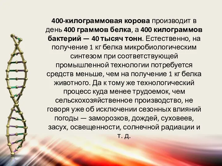 400-килограммовая корова производит в день 400 граммов белка, а 400 килограммов бактерий