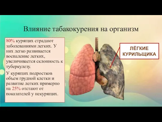 Влияние табакокурения на организм 80% курящих страдают заболеваниями легких. У них легко