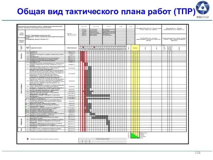 Общая вид тактического плана работ (ТПР)