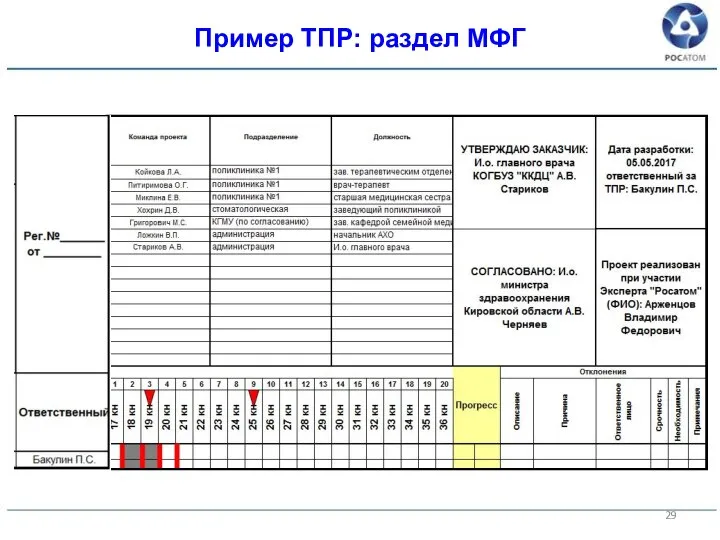 Пример ТПР: раздел МФГ