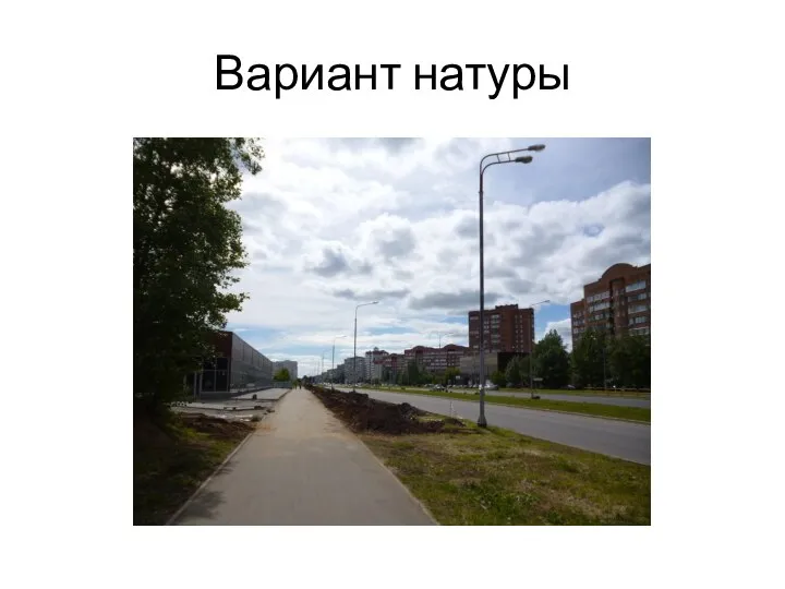 Вариант натуры