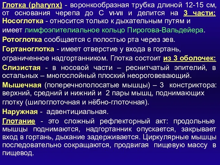 Глотка (pharynx) - воронкообразная трубка длиной 12-15 см, от основания черепа до