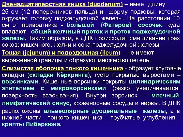 Двенадцатиперстная кишка (duodenum) – имеет длину 25 см (12 поперечников пальца) и