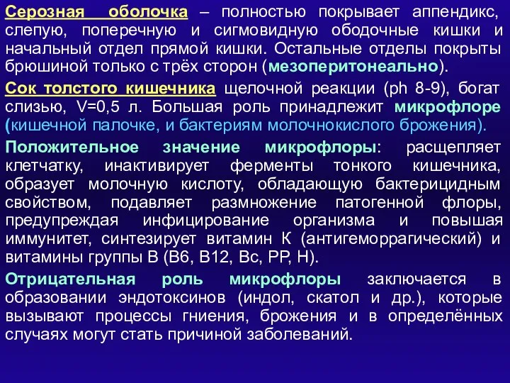 Серозная оболочка – полностью покрывает аппендикс, слепую, поперечную и сигмовидную ободочные кишки