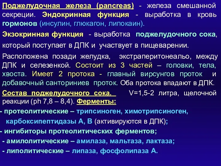 Поджелудочная железа (pancreas) - железа смешанной секреции. Эндокринная функция - выработка в