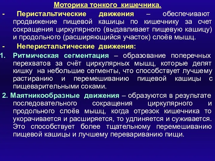 Моторика тонкого кишечника. - Перистальтические движения – обеспечивают продвижение пищевой кашицы по