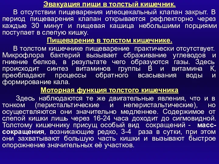 Эвакуация пищи в толстый кишечник. В отсутствии пищеварения илеоцекальный клапан закрыт. В