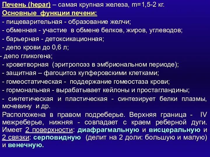 Печень (hepar) – самая крупная железа, m=1,5-2 кг. Основные функции печени: -