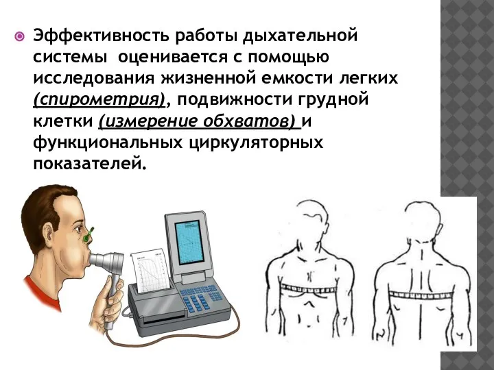 Эффективность работы дыхательной системы оценивается с помощью исследования жизненной емкости легких (спирометрия),