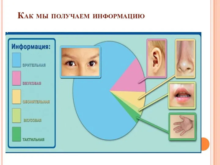 Как мы получаем информацию