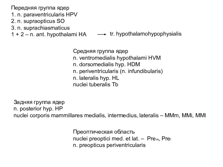 Передняя группа ядер 1. n. paraventricularis HPV 2. n. supraopticus SO 3.