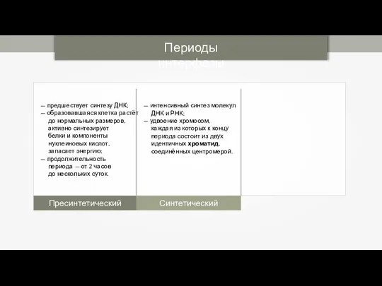 Периоды интерфазы Пресинтетический Синтетический — предшествует синтезу ДНК; — образовавшаяся клетка растёт