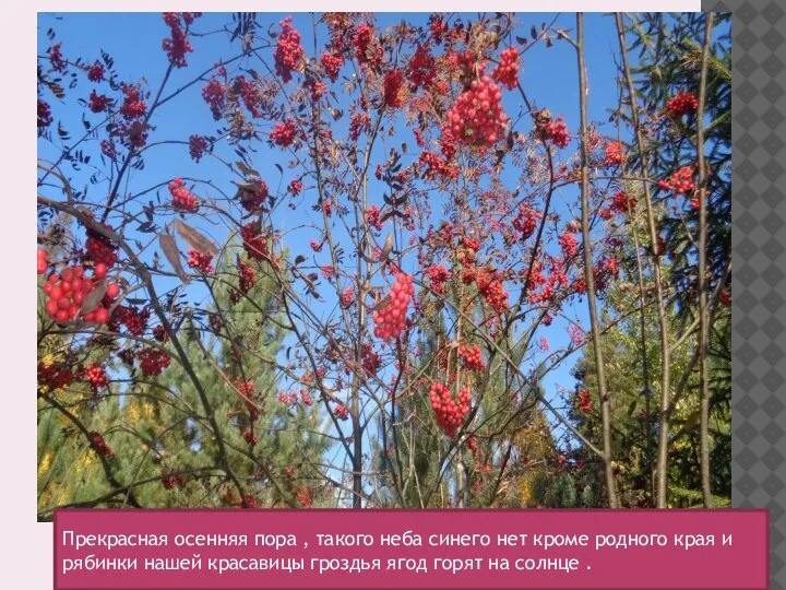 Прекрасная осенняя пора , такого неба синего нет кроме родного края и