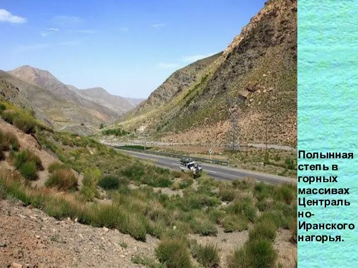 Полынная степь в горных массивах Центрально-Иранского нагорья.