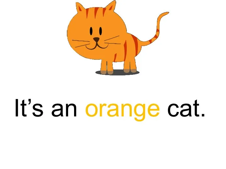 It’s an orange cat.