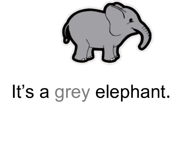 It’s a grey elephant.