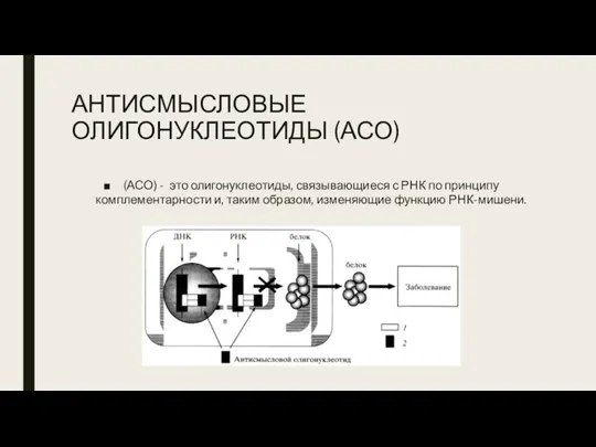 АНТИСМЫСЛОВЫЕ ОЛИГОНУКЛЕОТИДЫ (АСО) (АСО) - это олигонуклеотиды, связывающиеся с РНК по принципу