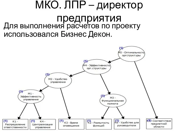 МКО. ЛПР – директор предприятия Для выполнения расчетов по проекту использовался Бизнес Декон.