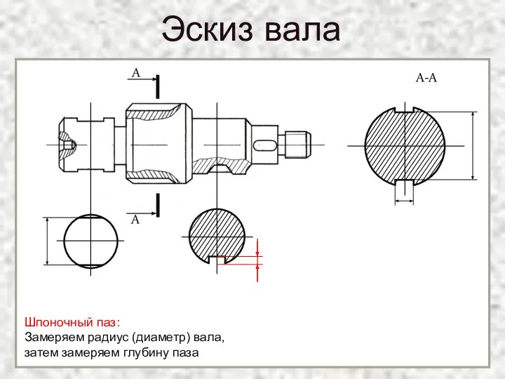 Эскиз вала Шпоночный паз: Замеряем радиус (диаметр) вала, затем замеряем глубину паза А А А-А