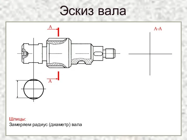 Эскиз вала Шлицы: Замеряем радиус (диаметр) вала А А А-А