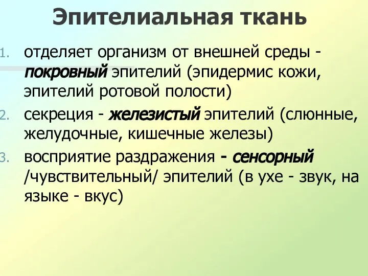 Эпителиальная ткань отделяет организм от внешней среды - покровный эпителий (эпидермис кожи,